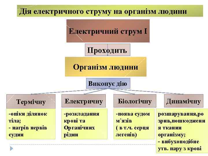 Дія електричного струму на організм людини Електричний струм І Проходить Організм людини Виконує дію