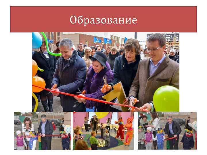 Образование 