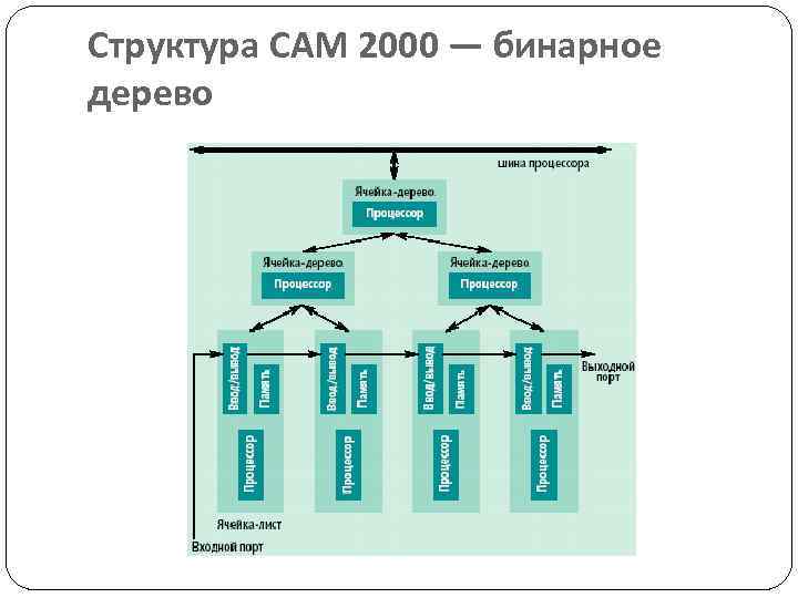 Структура САМ 2000 — бинарное дерево 