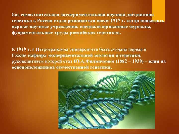 Как самостоятельная экспериментальная научная дисциплина генетика в России стала развиваться после 1917 г. когда