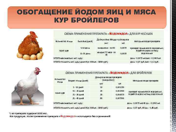 ОБОГАЩЕНИЕ ЙОДОМ ЯИЦ И МЯСА КУР БРОЙЛЕРОВ СХЕМА ПРИМЕНЕНИЯ ПРЕПАРАТА «ЙОДОМИДОЛ» ДЛЯ КУР НЕСУШЕК