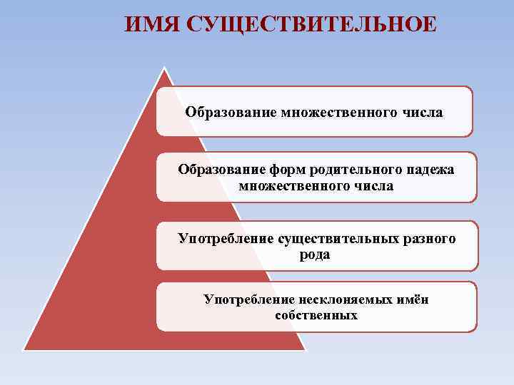 ИМЯ СУЩЕСТВИТЕЛЬНОЕ Образование множественного числа Образование форм родительного падежа множественного числа Употребление существительных разного