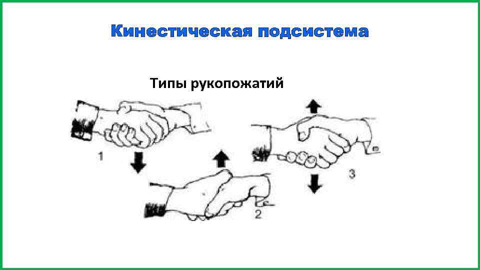 Кинестическая подсистема Типы рукопожатий 