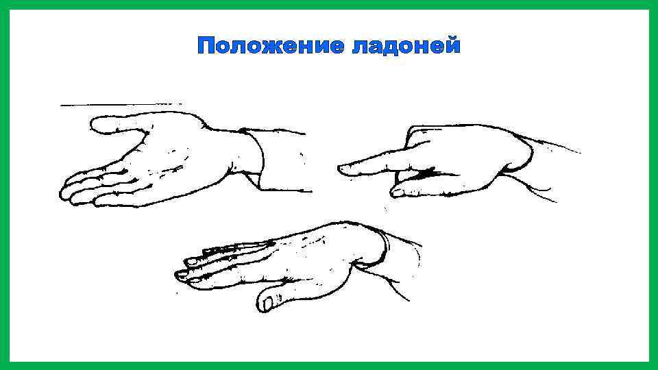 Положение ладоней 