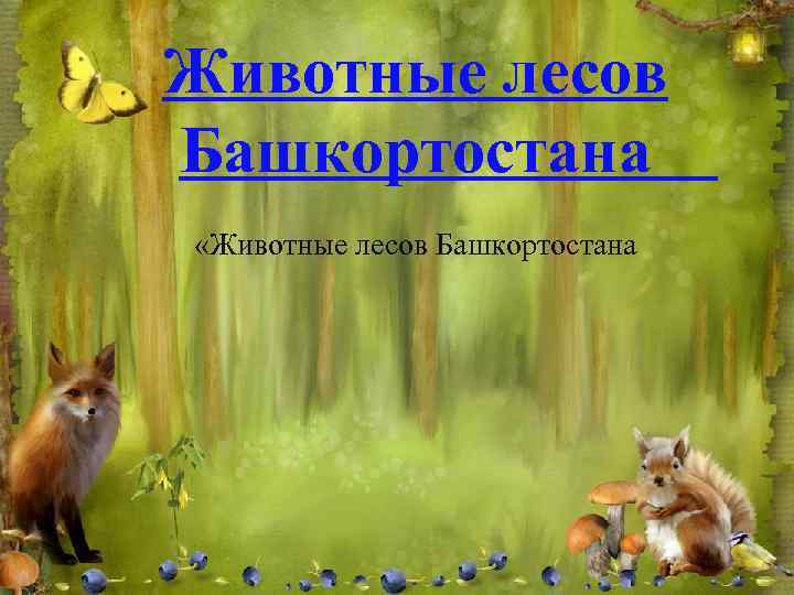 Животные лесов Башкортостана «Животные лесов Башкортостана 