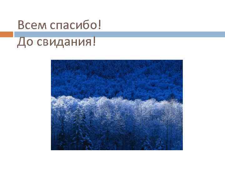 Всем спасибо! До свидания! 