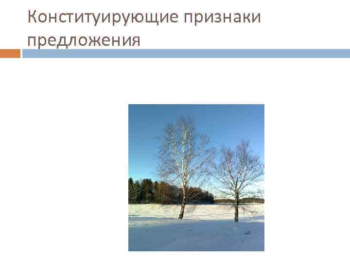Конституирующие признаки предложения 