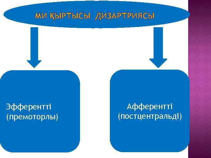 МИ ҚЫРТЫСЫ ДИЗАРТРИЯСЫ Эфферентті (премоторлы) Афферентті (постцентральді) 