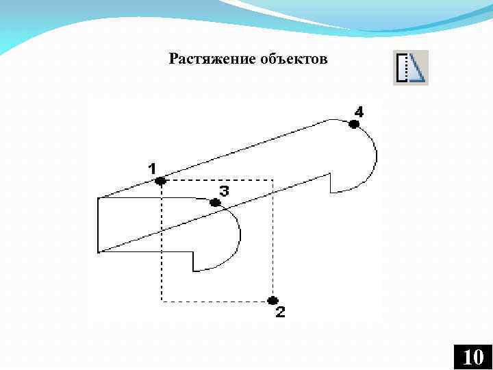 Растяжение объектов 10 10 