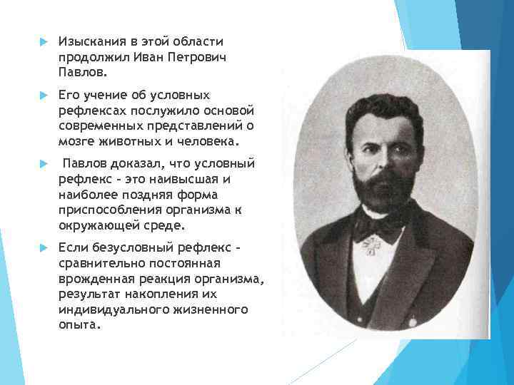  Изыскания в этой области продолжил Иван Петрович Павлов. Его учение об условных рефлексах