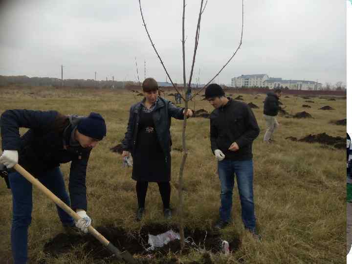  Не стоит ждать, когда кто-то другой сделает всё за нас. 