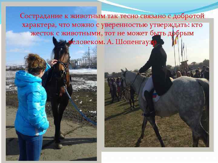 На. Сострадание к животным так тесно связано с добротой ипподроме характера, что можно с