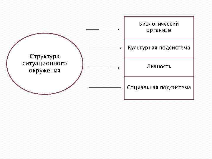 Биологический организм Культурная подсистема Структура ситуационного окружения Личность Социальная подсистема 