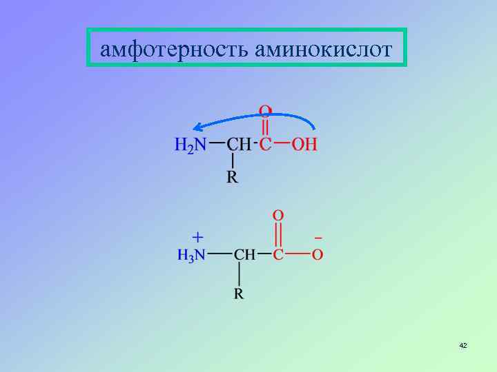 амфотерность аминокислот 42 