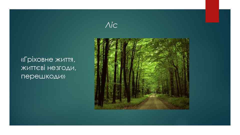 Ліс «Гріховне життя, життєві незгоди, перешкоди» 