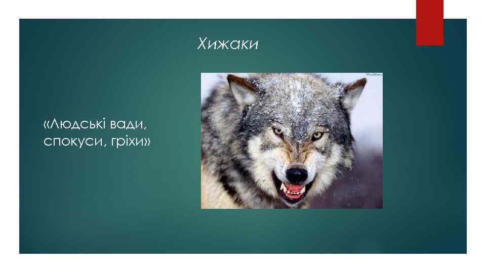 Хижаки «Людські вади, спокуси, гріхи» 