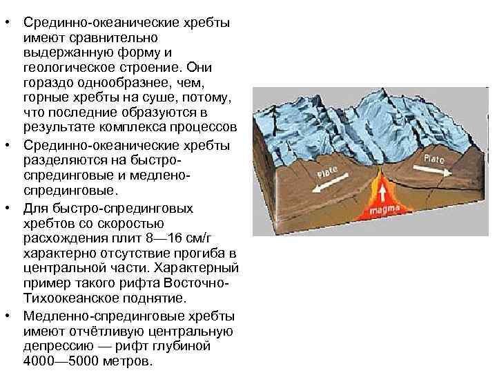  • Срединно-океанические хребты имеют сравнительно выдержанную форму и геологическое строение. Они гораздо однообразнее,