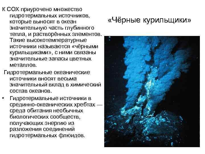 К СОХ приурочено множество гидротермальных источников, которые выносят в океан значительную часть глубинного тепла,