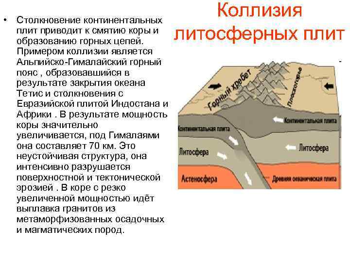  • Столкновение континентальных плит приводит к смятию коры и образованию горных цепей. Примером