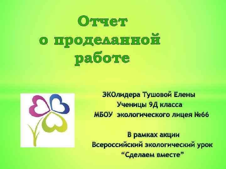 Презентация отчет о проделанной работе за год