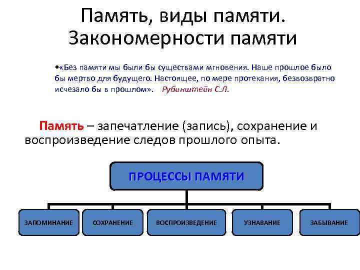 Память, виды памяти. Закономерности памяти • «Без памяти мы были бы существами мгновения. Наше