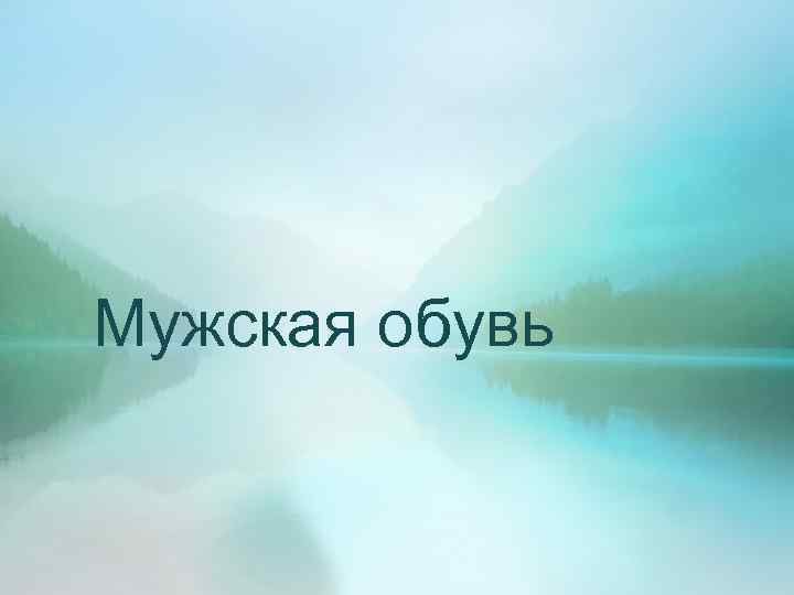 Мужская обувь 