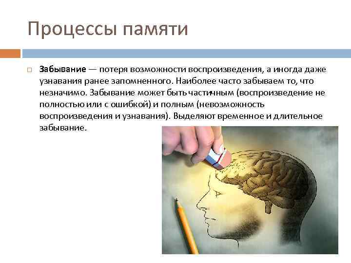 Процессы памяти Забывание — потеря возможности воспроизведения, а иногда даже узнавания ранее запомненного. Наиболее