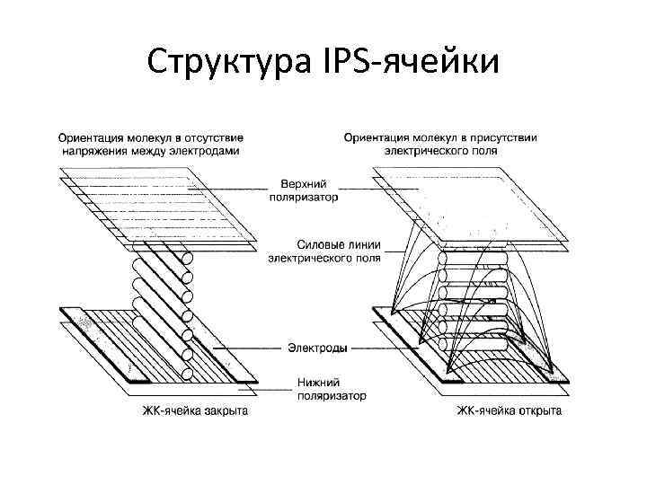 Структура IPS-ячейки 