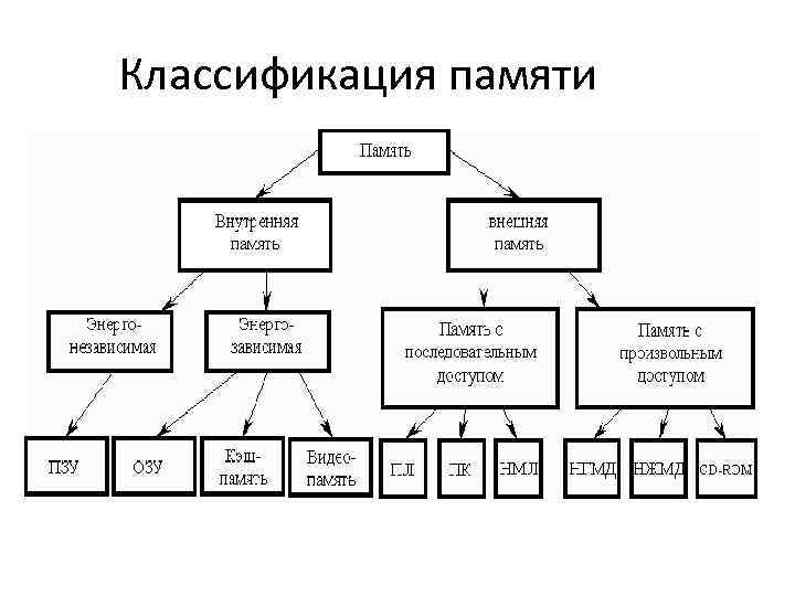 Память схема психология