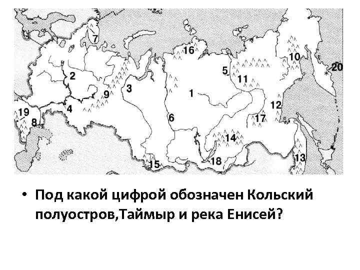  • Под какой цифрой обозначен Кольский полуостров, Таймыр и река Енисей? 