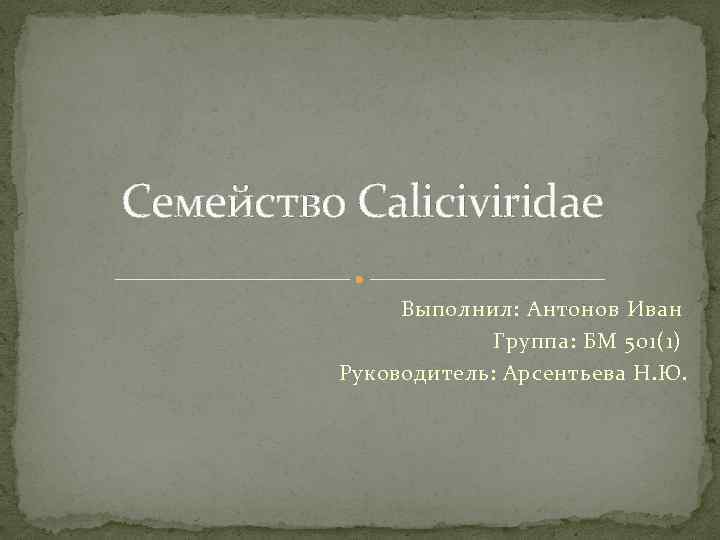 Семейство Caliciviridae Выполнил: Антонов Иван Группа: БМ 501(1) Руководитель: Арсентьева Н. Ю. 