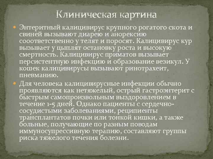 Клиническая картина Энтеритный калицивирус крупного рогатого скота и свиней вызывают диарею и анорексию сооответственно