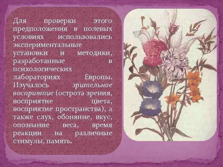 Для проверки этого предположения в полевых условиях использовались экспериментальные установки и методики, разработанные в