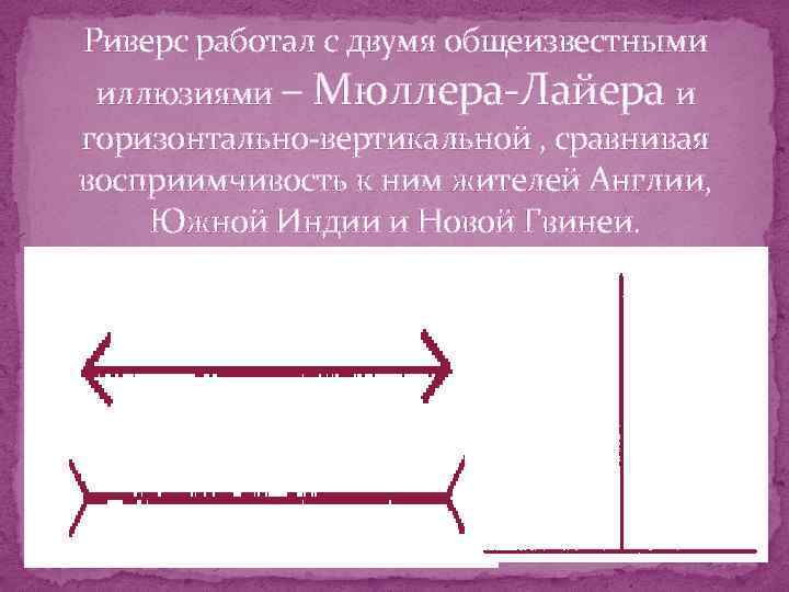 Риверс работал с двумя общеизвестными иллюзиями – Мюллера Лайера и горизонтально вертикальной , сравнивая