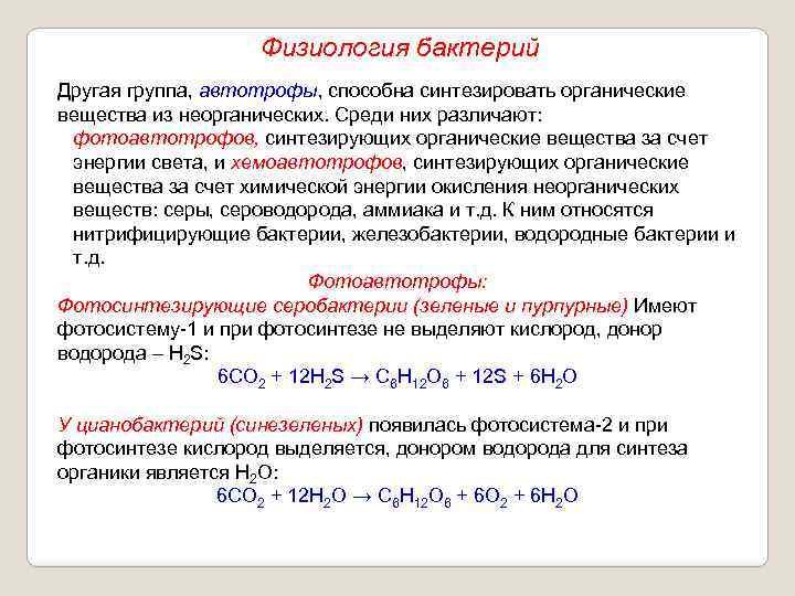 Физиология бактерий Другая группа, автотрофы, способна синтезировать органические вещества из неорганических. Среди них различают: