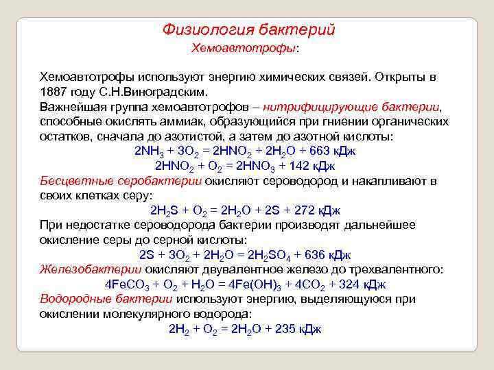 Физиология бактерий Хемоавтотрофы: Хемоавтотрофы используют энергию химических связей. Открыты в 1887 году С. Н.
