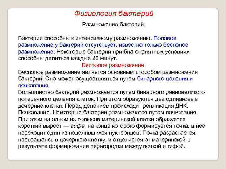 Физиология бактерий Размножение бактерий. Бактерии способны к интенсивному размножению. Половое размножение у бактерий отсутствует,