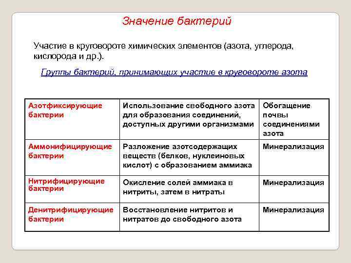 Значение бактерий Участие в круговороте химических элементов (азота, углерода, кислорода и др. ). Группы