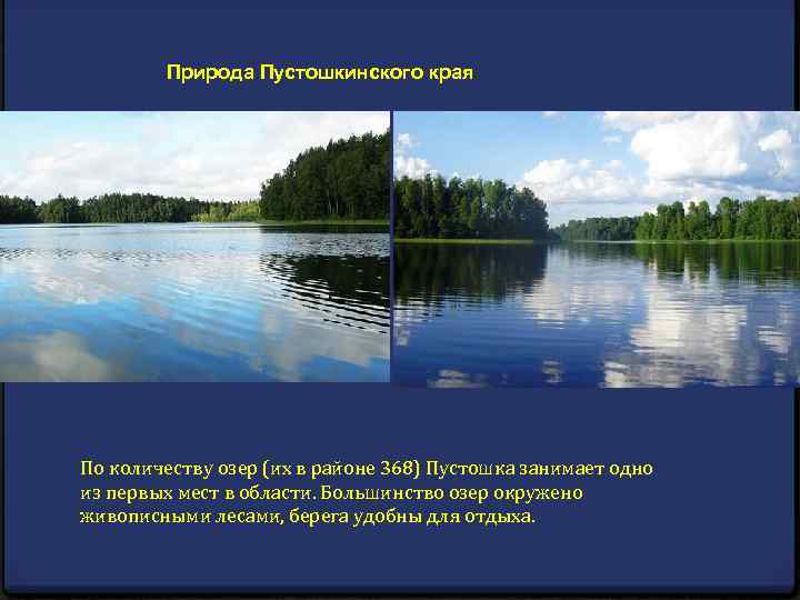 Природа Пустошкинского края По количеству озер (их в районе 368) Пустошка занимает одно из