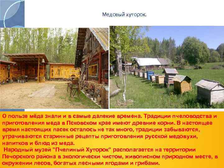 Медовый хуторок. О пользе мёда знали и в самые далекие времена. Традиции пчеловодства и