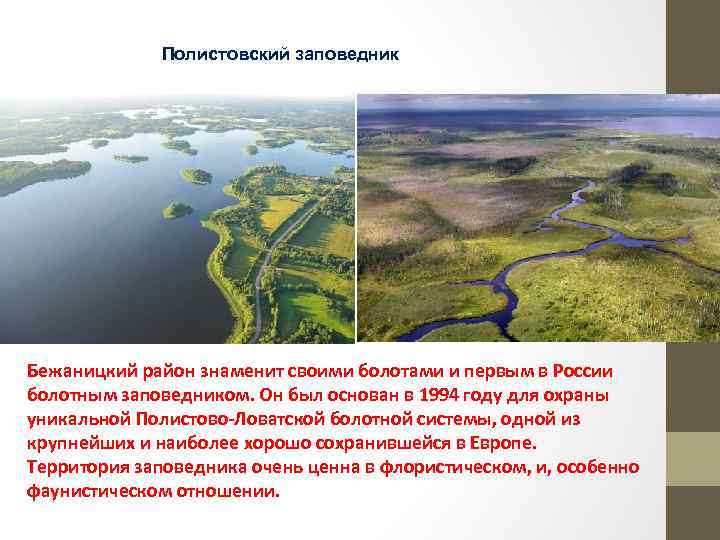 Полистовский заповедник Бежаницкий район знаменит своими болотами и первым в России болотным заповедником. Он