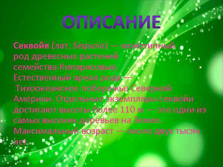 Секвойя (лат. Sequoia) — монотипный род древесных растений семейства Кипарисовые. Естественный ареал рода —