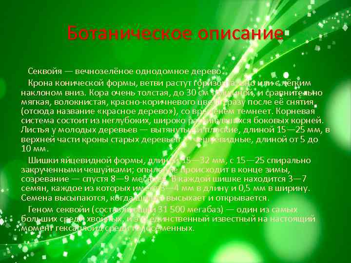 Ботаническое описание Секвойя — вечнозелёное однодомное дерево. Крона конической формы, ветви растут горизонтально или