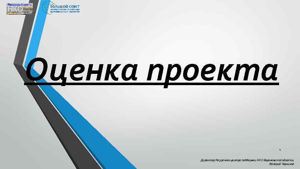 Оценка проекта 1 Директор Ресурсного центра поддержки НКО Воронежской области Валерий Черников 