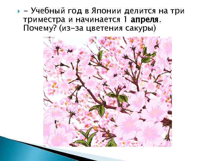  - Учебный год в Японии делится на триместра и начинается 1 апреля. Почему?