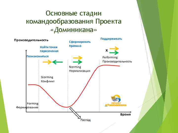 Основные стадии командообразования Проекта «Доминикана» 