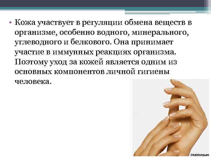 Кожа участвует в. Кожа принимает участие в обмене веществ. Участие кожи в обменных процессах организма. Что участвует в обмене веществ кожи. Почему кожа принимает участие в обмене веществ.