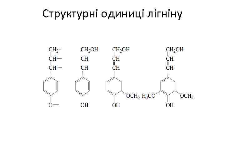 Структурні одиниці лігніну 