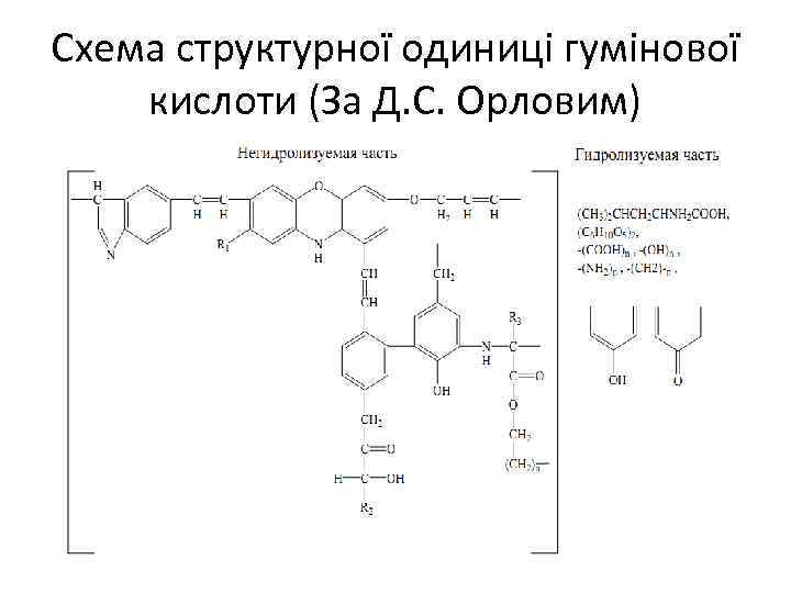 Схема структурної одиниці гумінової кислоти (За Д. С. Орловим) 