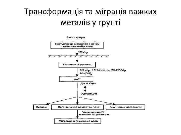 Трансформація та міграція важких металів у грунті 